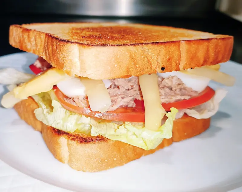 SANDWICH VEGETAL