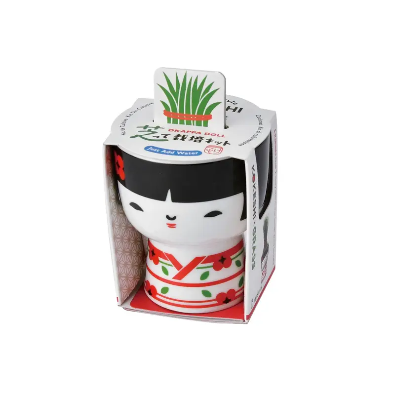 Semillas Happy Plant (Copy)