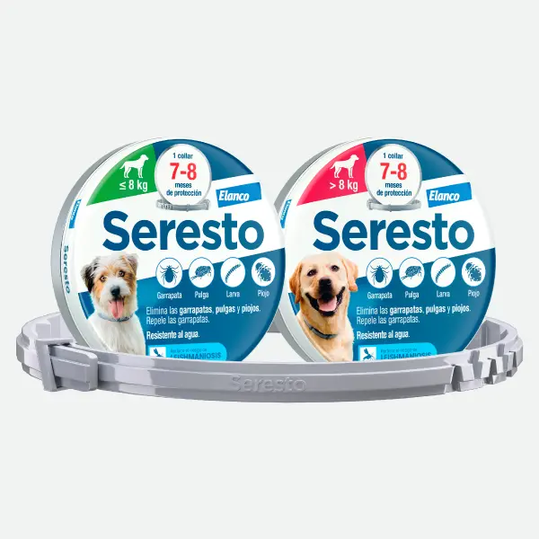 Seresto - Collar antiparásitos para perros