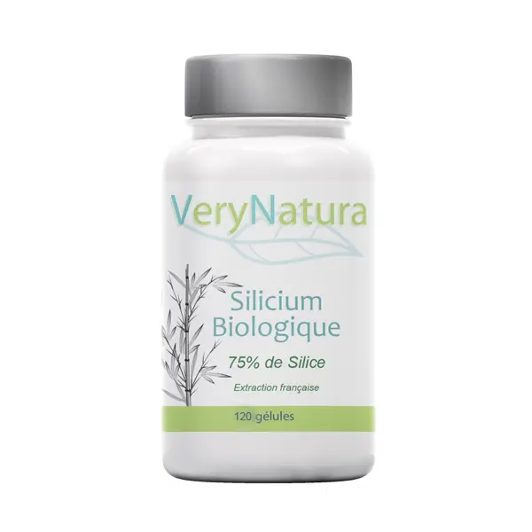 Silicium Bio (75% de Silice)