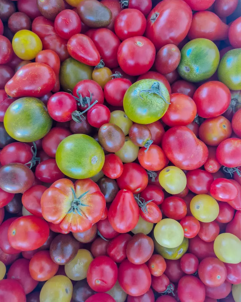 Surtido de tomates cherry de Coín 500g