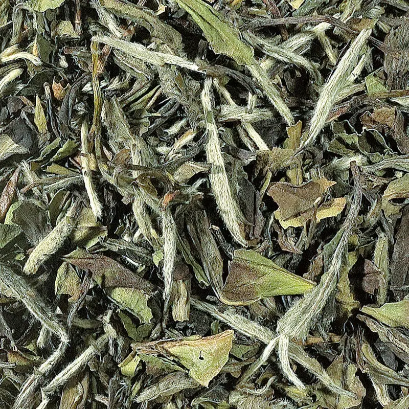 Té Blanco Pai Mu Tan