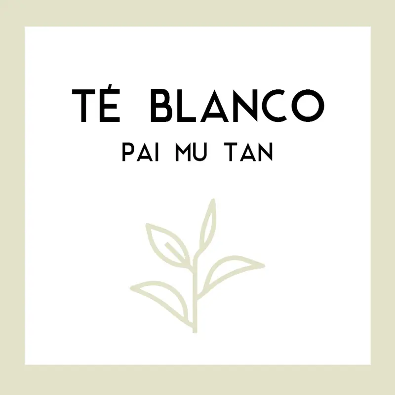 Té Blanco Pai Mu Tan