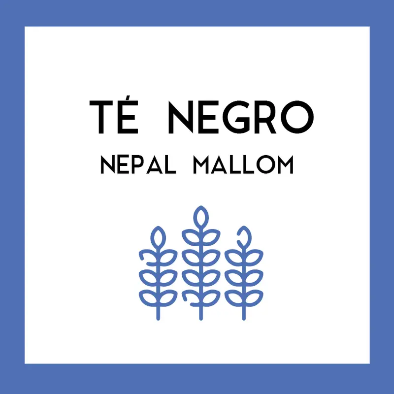 Té Negro Nepal Mallom