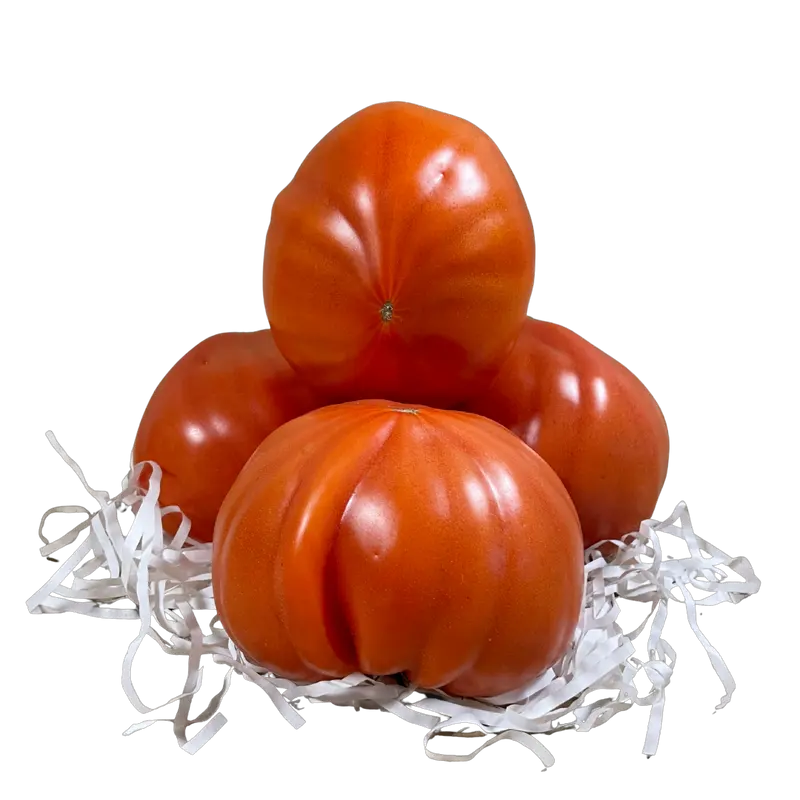 Tomate corazón de buey