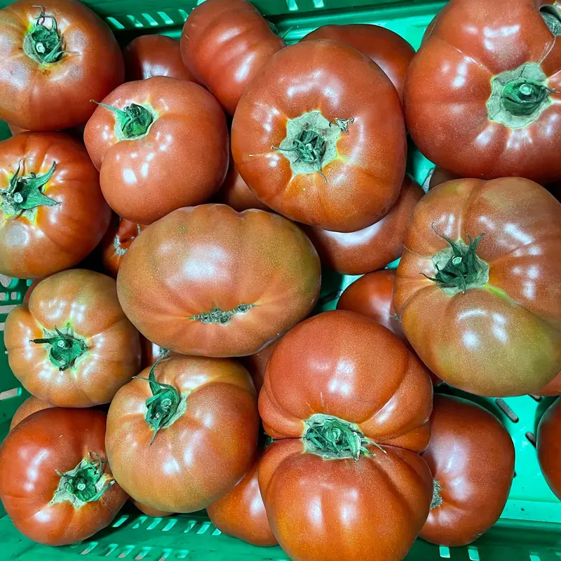 Tomate de Cantabria 1kg