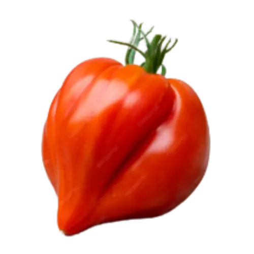 Tomate huevo de toro