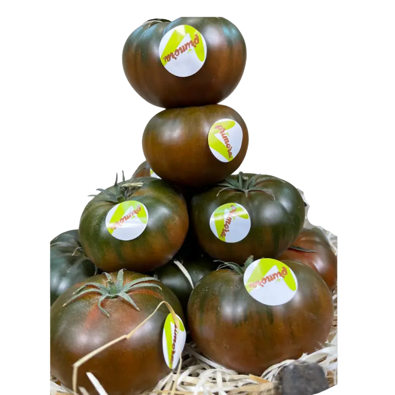 Tomate Primora