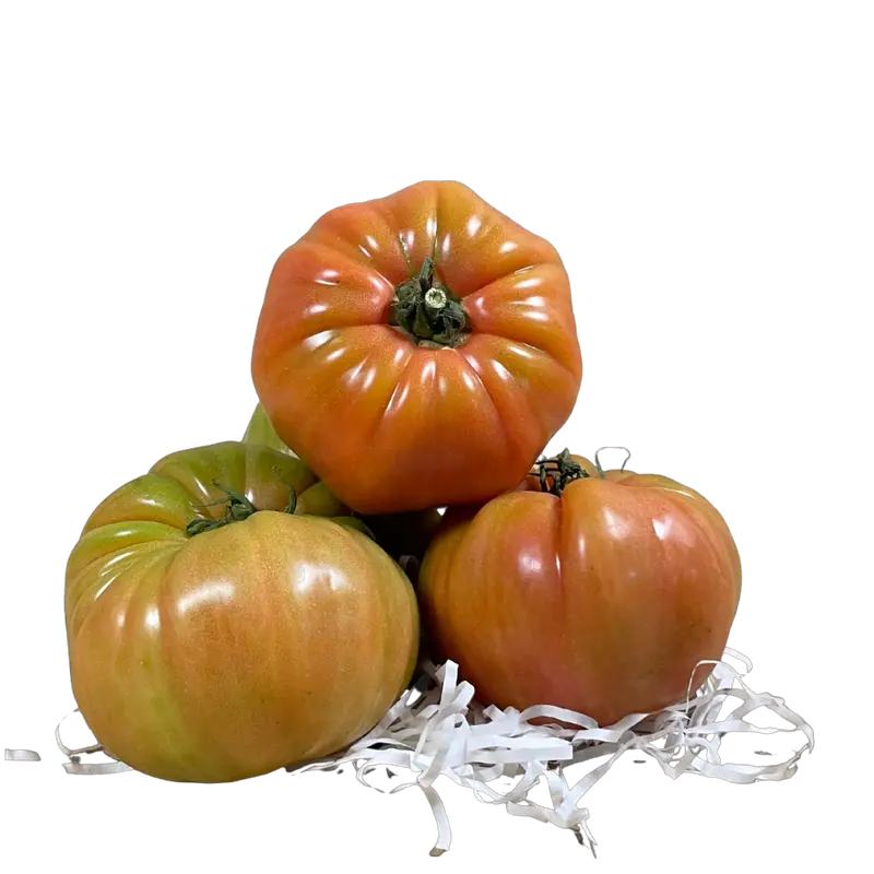 Tomate rosado