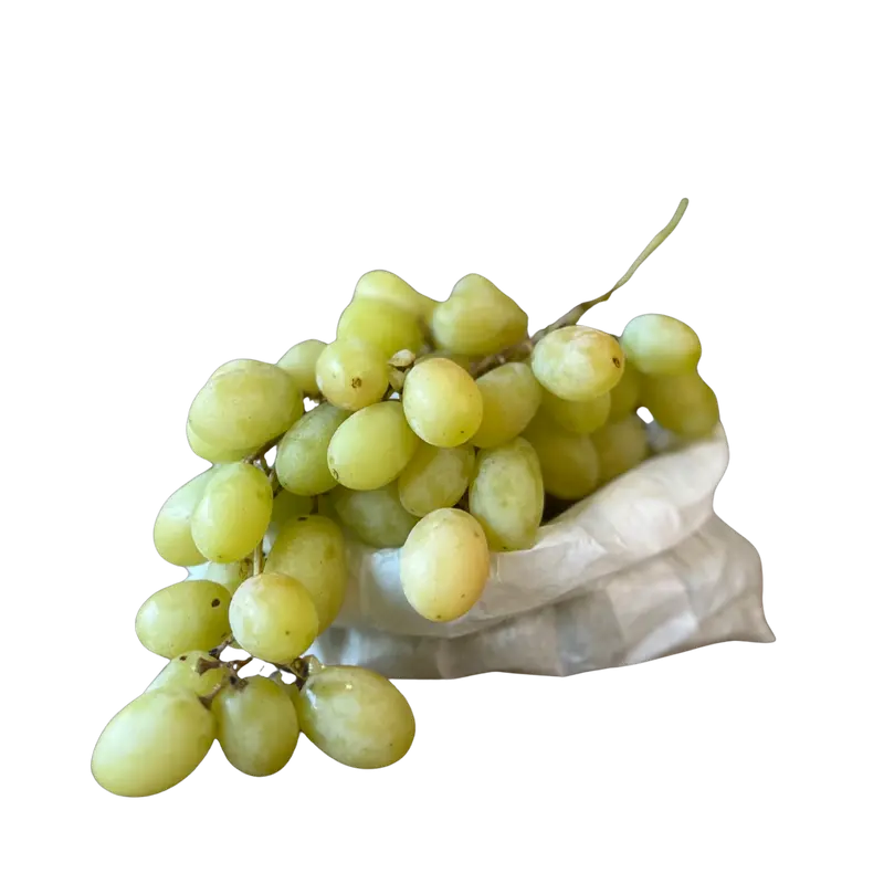 Uva blanca sin pipa