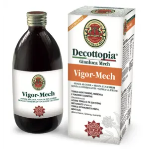 Vigor Mech