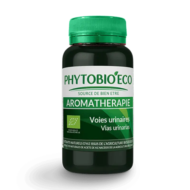 Voies Urinaires