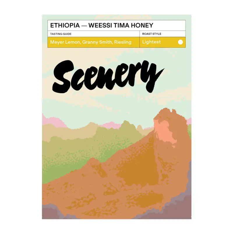 Weessi Tima - Ethiopia {Anoxic Honey}