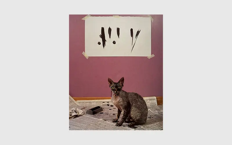 Why Cats Paint